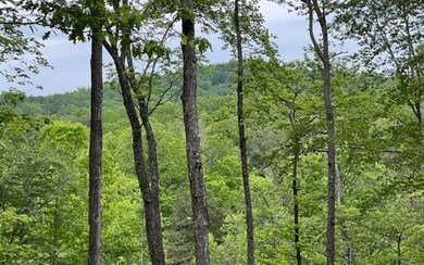 Additional View