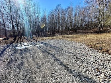 0 Shady Creek Ln, Byrdstown, TN 38549 - photo 3