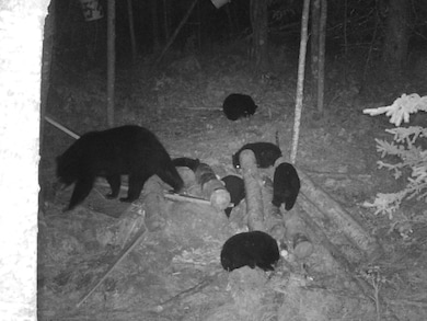 80 Acres Near Tar Paper Aly, Orienta, WI 54820 - photo 5