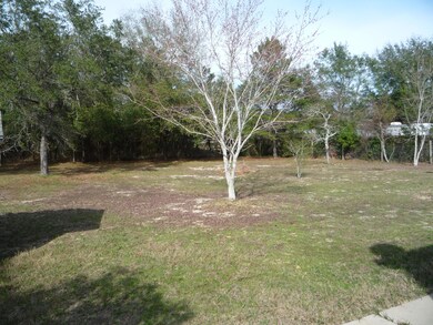 Large fenced backyard