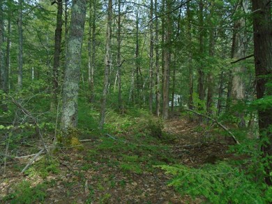 60 Hunt Rd, Windsor, ME 04363 - photo 4