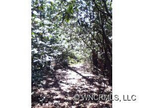 Trail to homesite on Tract I