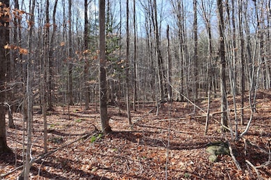 423 Hadley Rd, Stony Creek, NY 12878 - photo 7