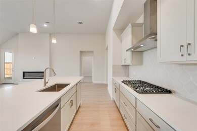 840 Turnbull Ave, Justin, TX 76247 - photo 6