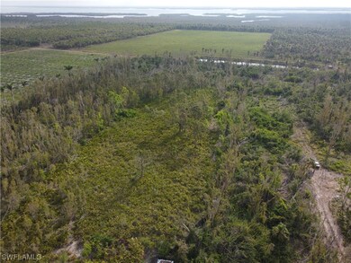 Uncleared 3 acres with high elevation available on Pine Island
