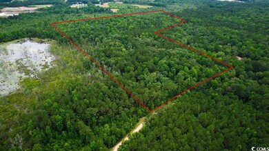 36.2 Acres Privetts Rd unit 36.20 Acres, W/20' R, Conway, SC 29526 - photo 3