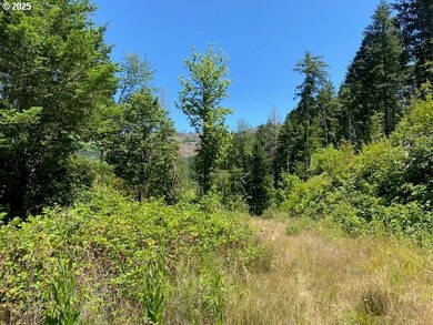 15996 Nonpareil Rd, Sutherlin, OR 97479 - photo 4