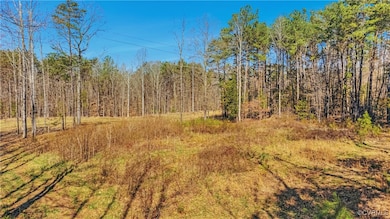 View of nature with a wooded view