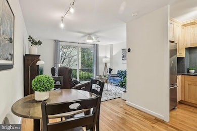 715 3rd St SW unit 608, Washington, DC 20024 - photo 7