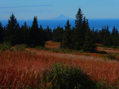 Mt. Augustine View