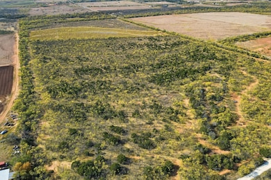 TBD 80 Acres Cr 150, Tuscola, TX 79562 - photo 3