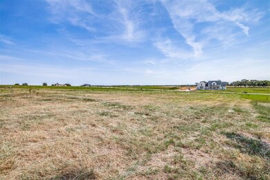 TBD Swallowtail, Poolville, TX 76487 - photo 3