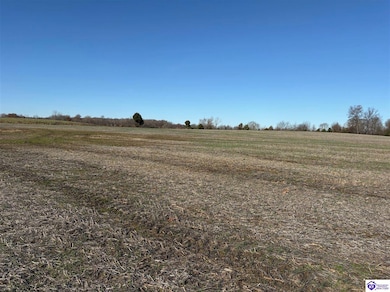 245 Owl Creek Dr, Vine Grove, KY 40175 - photo 3