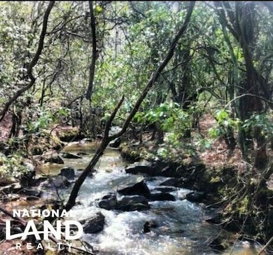 0 Lindsey Rd unit 25760188, Eclectic, AL 36024 - photo 7