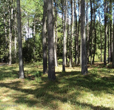Shady Homesite