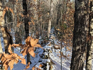 R6L9 Dickey Mills Rd, Avon, ME 04966 - photo 7