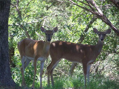 12208 Rolling Oaks Dr, Whitney, TX 76692 - photo 5