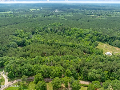 TBD Barber Rd, Franklinton, LA 70438 - photo 3