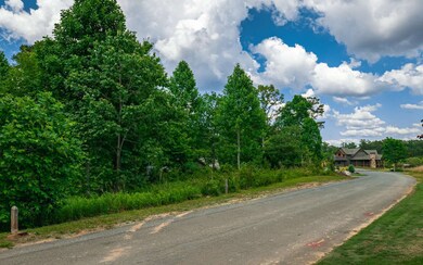 LT212 Old Toccoa Farm, Mineral Bluff, GA 30559 - photo 2
