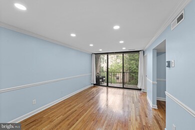 485 N Armistead St unit 201, Alexandria, VA 22312 - photo 5