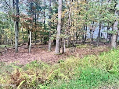 0 Butternut Rd, Dingman Township, PA 18337 - photo 2