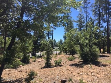 37 Strawberry Hollow Dr unit 37, Pine, AZ 85544 - photo 7