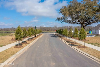 105 Castle Vine Way, Lafayette, LA 70508 - photo 4