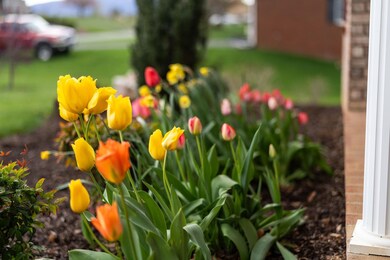 61 Gloucester Rd, Stuarts Draft, VA 24477 - photo 5