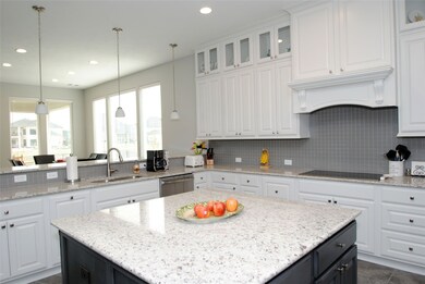 4059 Harmony Breeze Ln, Fulshear, TX 77441 - photo 7