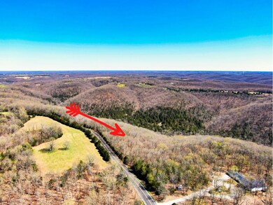 Tbd State Highway Y, Galena, MO 65656 - photo 4