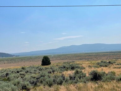 IMG_4519