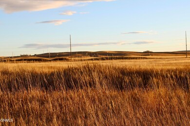 IMG_0044 1