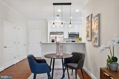 The Prescott unit 119, Alexandria, VA 22314 - photo 4