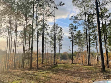 220 Saddlewood Trails Pkwy unit 1, Columbiana, AL 35051 - photo 4