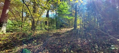 Lot-D Harkness Rd, Amherst, MA 01002 - photo 3