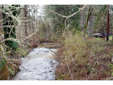 13756 Buckhorn Rd, Glide, OR 97443 - photo 4