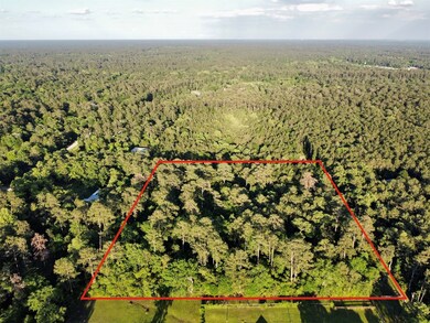 TBD Lloyd Ln, Hockley, TX 77447 - photo 3