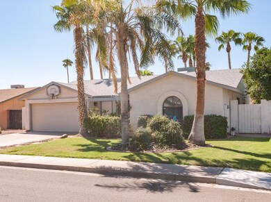 2528 N Evergreen St Chandler (3 of 25)