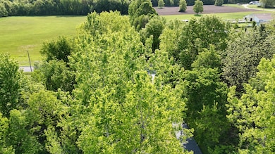 13027 Shaner Ave NE, Cedar Springs, MI 49319 - photo 2