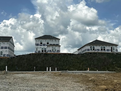 6248 Sycamore Stream Rd, Dandridge, TN 37725 - photo 2