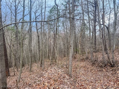 0 Ponetown Rd, Ray, OH 45672 - photo 3