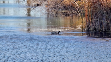 1360 S County Road 925 Tract 2 W, Medora, IN 47260 - photo 6
