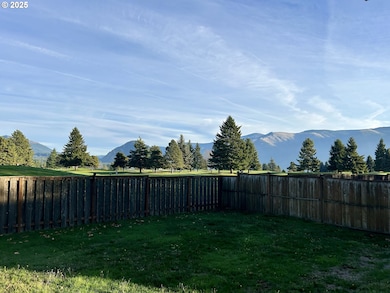 722 Smith Beacon Rd, Carson, WA 98610 - photo 6