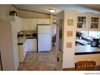 202 W Springfield St, Virginia, IL 62691 - photo 6