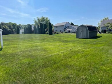 Backyard 2