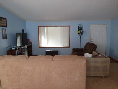 500 Beagle Run Ln, Alberta, VA 23821 - photo 4