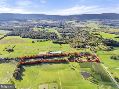 1225 Dunvegan Dr, Upperville, VA 20184 - photo 5