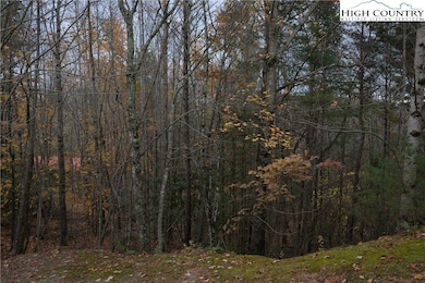 Lot 10 Talon Dr, Boone, NC 28607 - photo 2