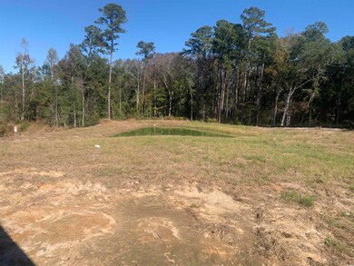 213 Blue Wing Ct unit Lot 27 Montaque B-6, Conway, SC 29527 - photo 7