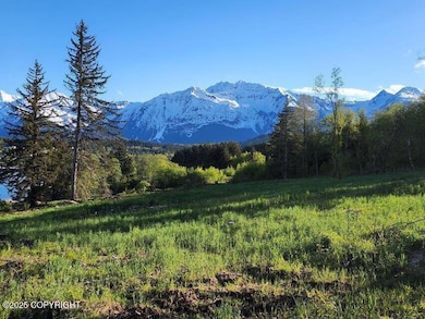 Lot 7 Barnett St W, Haines, AK 99827 - photo 3